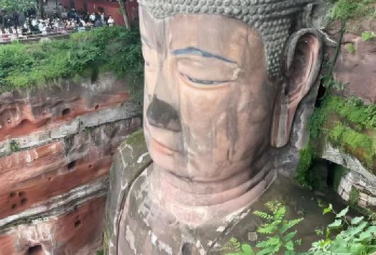 四川乐山大佛+黄龙溪古镇包车一日游【1..中文司机，上门接送】