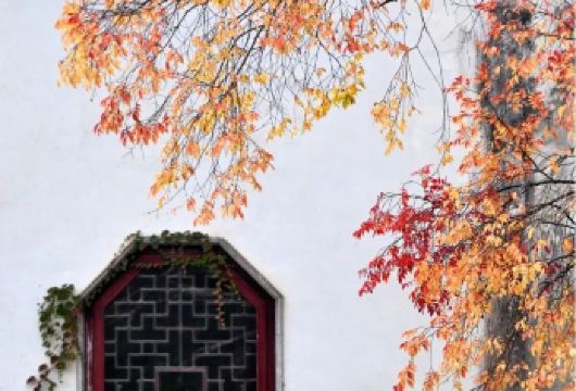 上海到苏州拙政园纯玩（含单送交通+门票+讲解）【跨城无忧，一站式服务】