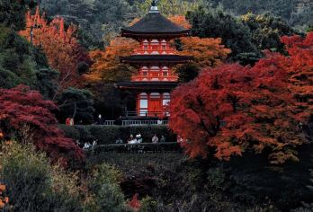 京都|奈良公园+三/二年坂+清水寺+伏见稻荷大社|拼车日游【中文包车，沟通无碍，深度体验，行程可调】