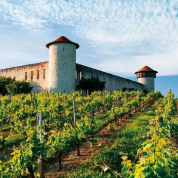 法国波尔图酒庄包车一日游--酒庄代预约【中文包车定制行程】