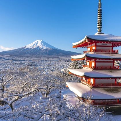 东京富士山一日游