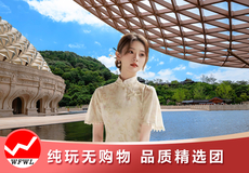 南京总统府+牛首山文化旅游区+大报恩寺遗址景区+夫子庙一日游【28成人小团+赠秦淮河游船+含牛首山小交通】