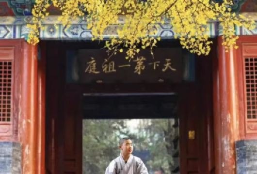 登封少林寺纯玩一日游【8/15人精品小团|上门接送|导游讲解【优秀专线持证导游陪同，深度讲解，景区内自由畅玩，无任何形式购物；】