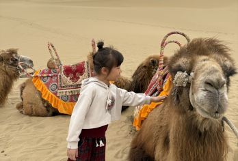 塔塔秘境-塔克拉玛干沙漠+罗布湖+胡杨一日游【市区上门接送】