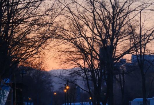 日本札幌市区历史文化探索/可小樽登别富良野北海道多日包车精选【包车一日游，解锁旅行新方式！独立车辆配备经验丰富的老司机，为您量身打造专属行程。】