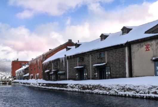 日本北海道小樽一日游｜天狗山｜札幌往返｜寻找《情书》中的美景【尊享一对一高端行程定制，多日豪华包车专属礼遇，专业旅行顾问24小时恭候垂询。】