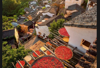 江西婺源一日游：篁岭+上坦村-庆源古村三眼桥小众打卡/包车游【江西婺源特色小镇 灰墙白瓦 小桥流水】