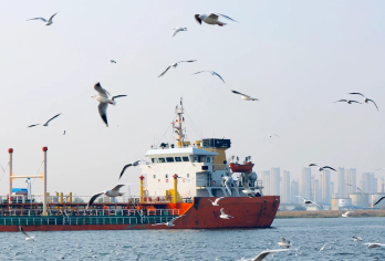 天津复古轮渡喂海鸥+海河观光+小吃街一日【冬季来临，海鸥会追逐复古轮渡，游客可以在轮渡上体验海鸥追逐环绕可自由喂食】