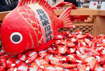 东京-皇家轻井泽 冰川神社 小江户“穿越”一日游（4人成行）【日本皇室度假胜地轻井泽冰川神社小江户漫步】