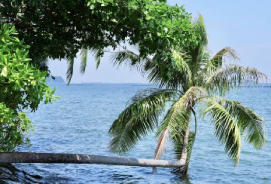 新加坡定制包车-鱼尾狮公园滨海湾花园圣淘沙等【市区上门接送】【专属线上管家服务+当地华人司机，给您专业的服务保障】