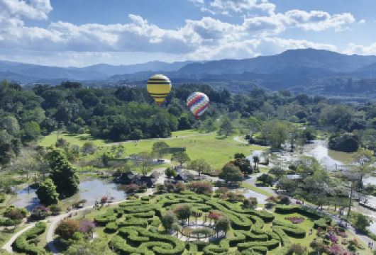 【店铺主页先领红包再下单】中科院植物园+傣族园一日游【感受漫画般的雨林秘境，参加天天傣家泼水节狂欢】