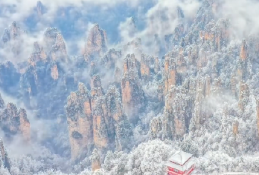 【VIP通道】张家界国家森林公园（阿凡达）一日游 景区优选【[尊享礼遇]专属VIP通道优先通行，大幅减少排队，排队重点：百龙天梯VIP+天子山索道VIP两大核心】