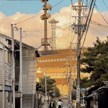 日本东京-金泽【单程接送包车服务/中文司机/可定制包车】