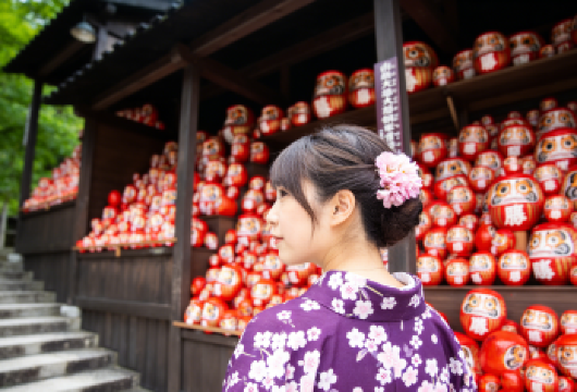 达摩胜尾寺&岚山公园&金阁寺一日游（大阪\京都出发）【英文&中文导游：热情友好，经验丰富，为您提供专业细致的导览服务】