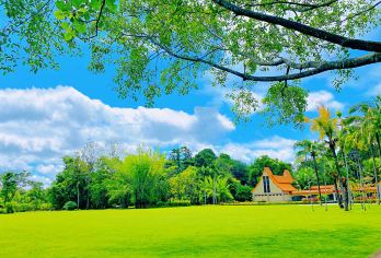 西双版纳野象谷+原始森林公园一日游【独立包车 | 纯玩自由】【纯玩包车-随走随拍-无隐形消费】
