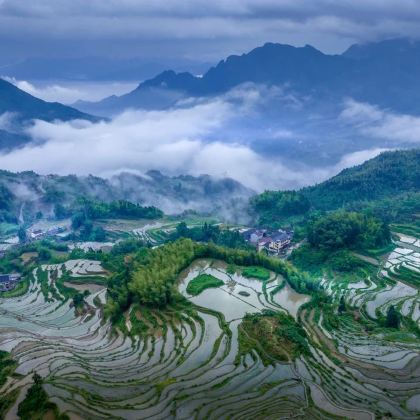 云和梯田+古堰画乡一日游【包车直达山顶随走随停免换乘与索道】