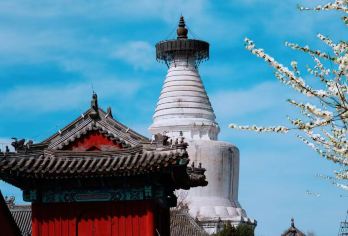 【胡同文化之旅】打卡鲁迅故居，漫步老北京胡同，与白塔合影体验【探访鲁迅故居（若开放可入内），感受文学巨匠的生活痕迹；】