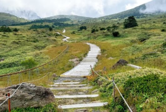 韩国济州岛汉拿山一日游【中文私家定制团/包车游/酒店接送】【[个性定制]中文包车单独团出行，酒店上门接送，路线行程可根据个人需求调整。】