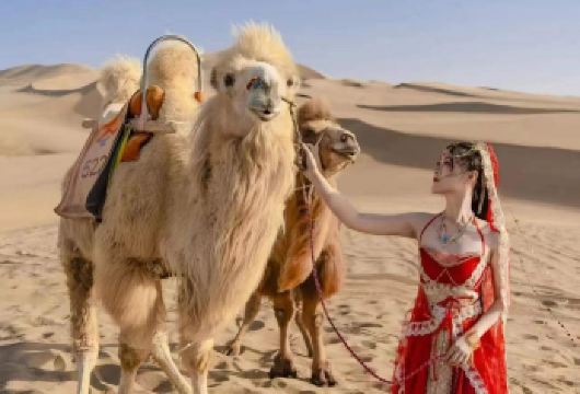 莫高窟+鸣沙山月牙泉一日游【莫高窟+鸣沙山月牙泉一日游】【酒店上门接送，当天提供免费接送机/送站.】