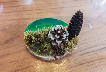 喀纳斯自然博物馆-自然造物DIY手作【材料天然：材料均来自喀纳斯当地自然环境，具有天然的质感和纹理，保留原始之美！】