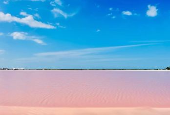 墨西哥坎昆粉红湖+火烈鸟+尤卡坦风光【私家包车+南美定制】【尊享一对一高端行程定制，多日豪华包车专属礼遇，专业旅行顾问24小时恭候垂询。】