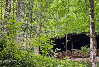 浙江衢州古城+根宫佛国包车一日游可英文服务【可提供英文及小语种导游服务-往返接送-可选导游-可代订门票】