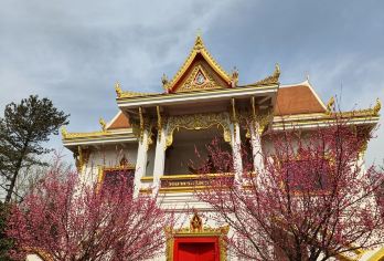 龙门石窟+白马寺+洛阳博物馆一日游（20人精品团）【20人精品小团】