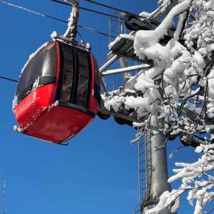 【2-8人包团】瓦屋山风景区-免票含观光车+成都三环上门接送