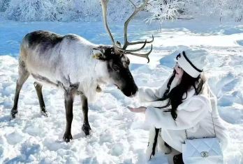 呼伦贝尔穿越雪原+曲水湿地+黑山头骑马一日游【[专业团队]全好评服务团队丨一对一人员服务丨每车一团丨拒绝使用大巴车】