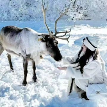呼伦贝尔穿越雪原+曲水湿地+黑山头骑马一日游
