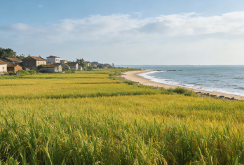 中山崖口村 -孙中山故居 - 孙文西路步行街- 詹园【可逛稻田 ，品鉴崖口云吞，杏仁饼，拍园林】
