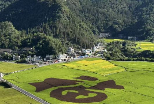 贵州兴义万峰林+马岭河一日游【兴义出发+上门接送+品质小团】【专车接送，自由定制纯玩。】