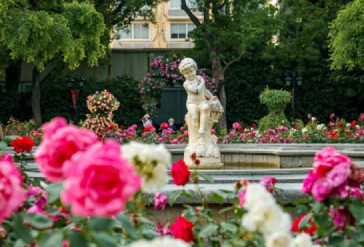 崇明岛-西沙明珠湖景区-东平国家森林-堡镇码头5座/7座可选【1单1团·纯玩·专车 上门接送】