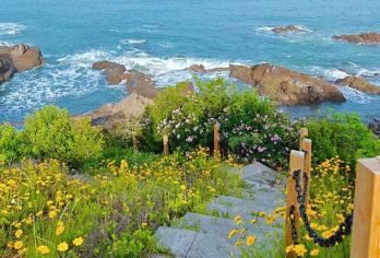 黄岛金沙滩+鱼鸣咀村+海神庙+唐岛湾一日游2-6人小拼团【细腻沙滩，蔚蓝大海，海岸线网红机位。】