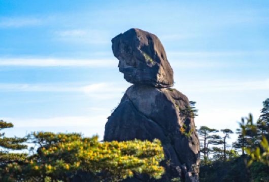 三清山风景区一日游【婺源县起止/包车游】【[1车1司]包车出行，上门接送，实现晚起自由！】