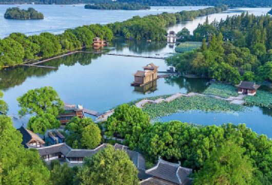 杭州出发：杭州西湖+雷峰塔+飞来峰+清河坊街一日游【私家团】【私家小团丨小众玩法丨纯玩无购丨独立包车丨行程可调丨随停随走丨时间自由丨上门接送】