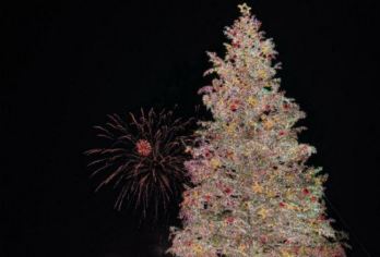 日本北海道-札幌往返-美瑛-富良野-旭川-红叶/冬季必打卡【专业行程定制，精选热门景点，高效游玩不走回头路，贴心服务保障，轻松】