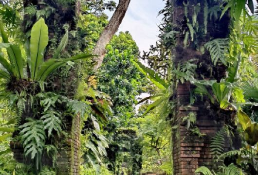 新加坡-鱼尾狮公园-福康宁公园-赞美广场【市区上门接送】【专属线上管家服务+当地华人司机，给您专业的服务保障】