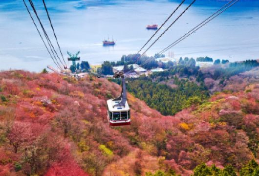 箱根大涌谷一日游海贼船|含空中缆车票|箱根缆车体验|中文司导【[桃园台缆车体验]赠送缆车体验票（单程）】