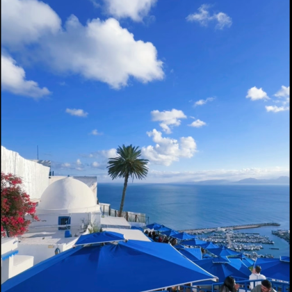 突尼斯迦太基遗址+蓝白小镇+麦地娜老城+橄榄清真寺m 包车游