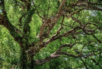 丽水—龙泉：龙泉山+青瓷小镇+宝剑博物馆   景点可定制G【全程中文/英文/俄语/小语种服务，沟通无障碍，景点可调,多种车型可选】