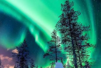 冰岛雷克雅未克-黄金圈路线+蓝湖-可多日-包车【精选老司机】【包车一日游，解锁旅行新方式！独立车辆配备经验丰富的老司机，为您量身打造专属行程。】