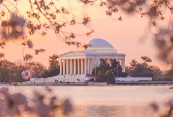 美国华盛顿白宫+林肯纪念堂+国会大厦+潮汐湖包车一日游【[包车游]行程可调，可制定多日】