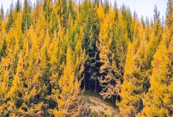 麻田岭一日游10公里环穿纯玩无购物【情侣，朋友，郊游】