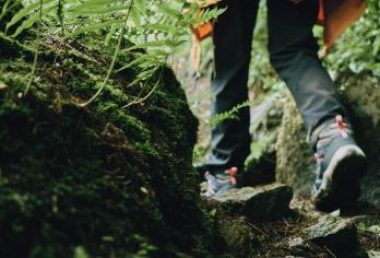 来一趟山里·野瀑寻踪·武夷山国家自然保护区荒野轻户外徒步1日【武夷山度假区范围酒店，多上车点，有专业人员带队，报备一切手续；】
