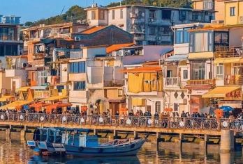 厦门植物园+南普陀+沙坡尾+海上明珠塔一日游【[服务升级]纯玩无购物，上门接送，热情领队，细致服务】