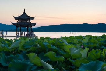 杭州私家团1日游，西湖+龙井茶田+灵隐寺飞来峰+雷峰塔【1.一日串起杭州精华：灵隐祈福、龙井品茗、西湖揽胜，雷峰塔眺全景，河坊街寻烟火。】