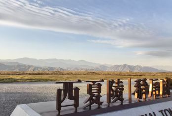 西夏陵+贺兰山岩画+拜寺口双塔+市区酒店接送【无购物店，无隐形消费】