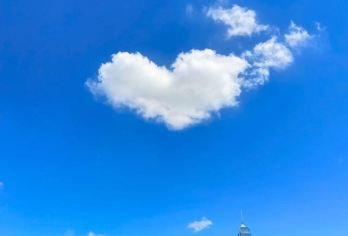 【港风观光】香港1日游+叮叮车+九龙城寨+坚尼地城+上网卡【港风观光 九龙城寨】