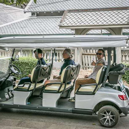 琅勃拉邦：1小时文化遗产语音导览之旅，含酒店接